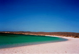 tourquise bay - ningaloo...