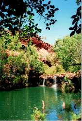 upper fortescue falls - a paradise...