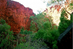 red circular pool