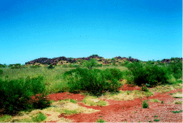 thru' the pilbara near tom price..