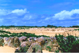 pinnacles in nambung np...