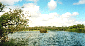 Loch Ness in Yanchep National Park..